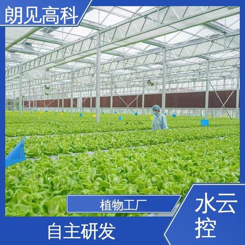 系统开发 智能植物工厂灯光种植 应用农业物联网