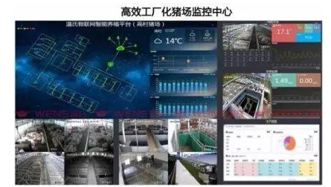 未来,物联网将会是养猪的标配